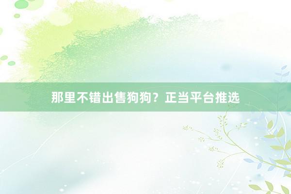 那里不错出售狗狗？正当平台推选